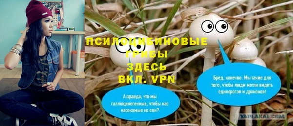 круглые Абаза