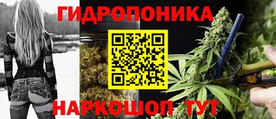 spice Гусиноозёрск