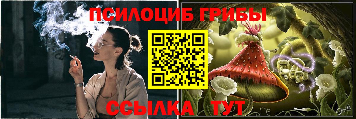 Галлюциногенные грибы прущие грибы Нягань